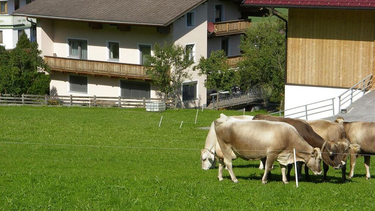 Zillertal-Fügenberg-Landhaus-Kröll-Gästehaus-Somme Zillertal-Fügenberg-Landhaus-Kröll-Gästehaus-Somme
